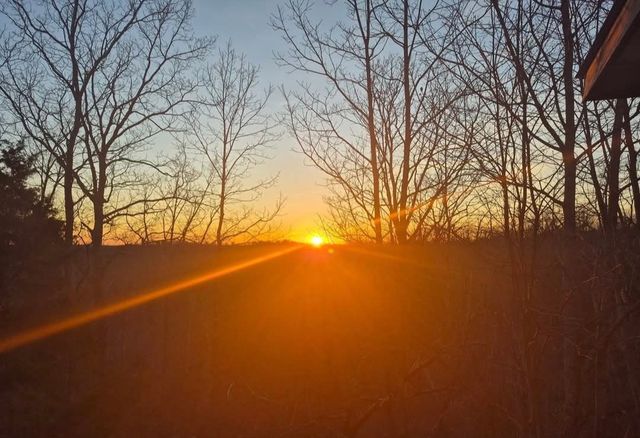 3519 Owl Hollow Rd, Linden, TN 37096