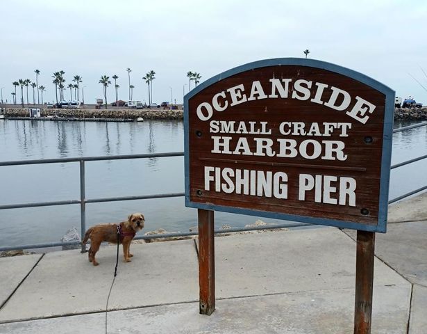 1202 N Pacific Street 209B, Oceanside, CA 92054