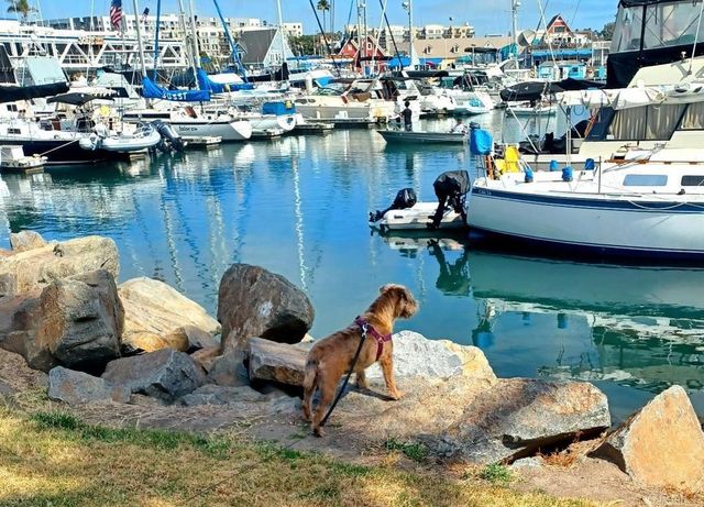 1202 N Pacific Street 209B, Oceanside, CA 92054