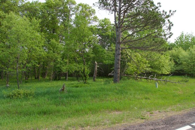 XXX Lot 3 283rd Avenue NW, Zimmerman, MN 55398