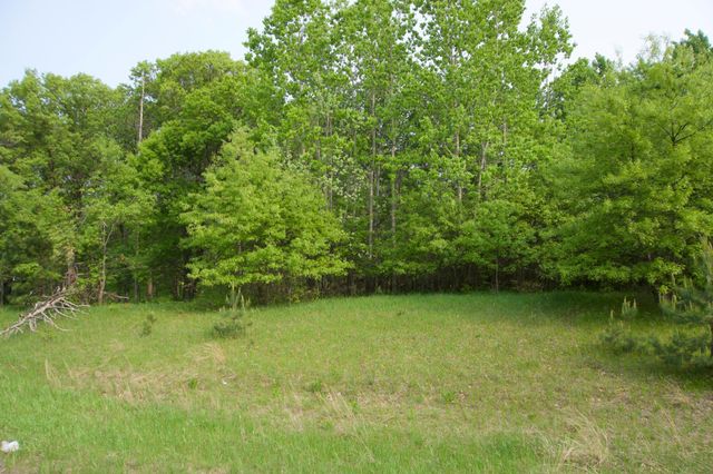 XXX Lot 3 283rd Avenue NW, Zimmerman, MN 55398