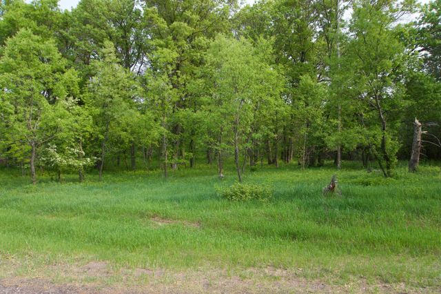 XXX Lot 3 283rd Avenue NW, Zimmerman, MN 55398