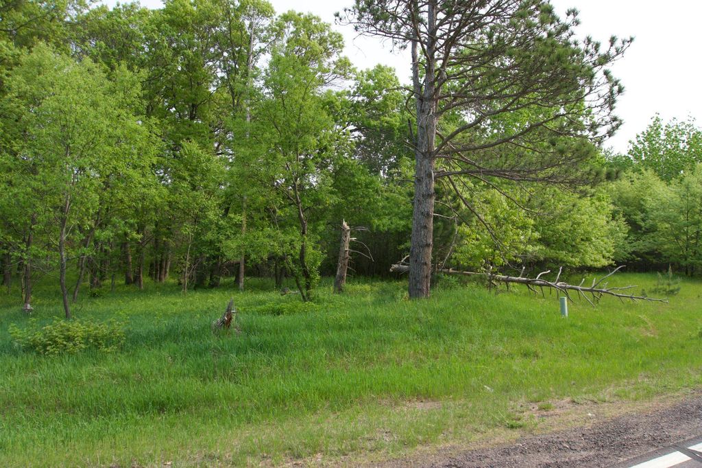 XXX Lot 3 283rd Avenue NW, Zimmerman, MN 55398 — photo 3