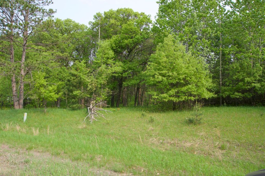 XXX Lot 3 283rd Avenue NW, Zimmerman, MN 55398 — photo 4