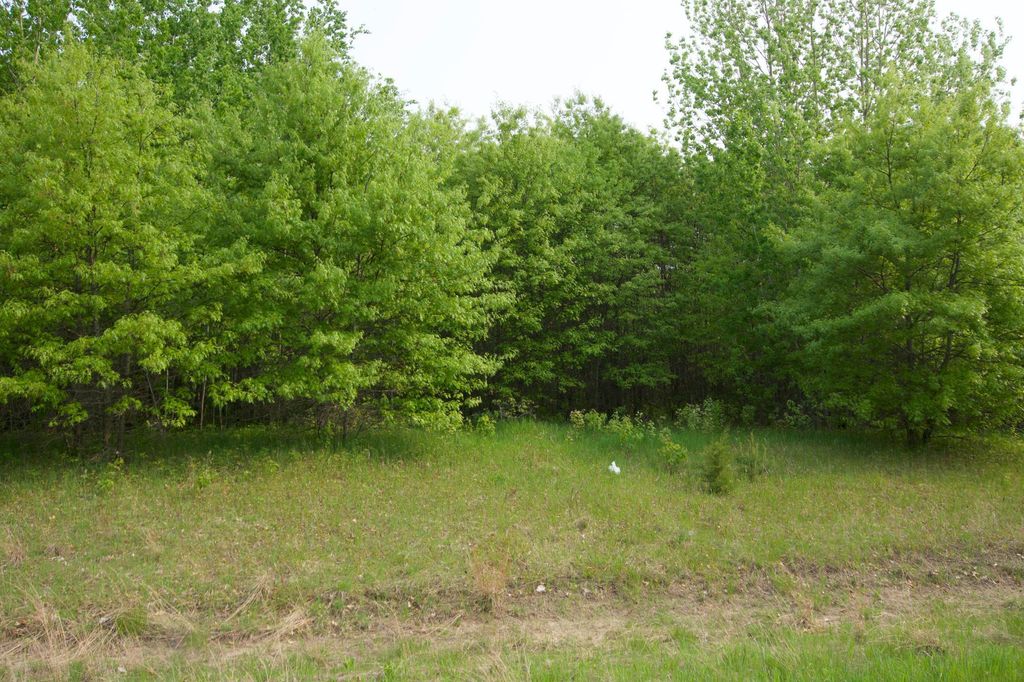 XXX Lot 3 283rd Avenue NW, Zimmerman, MN 55398 — photo 5