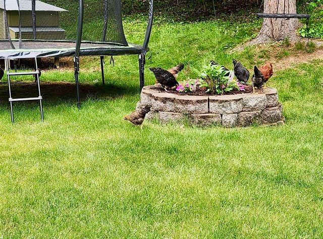 23146 Highway 43, Wilson Twp, MN 55987