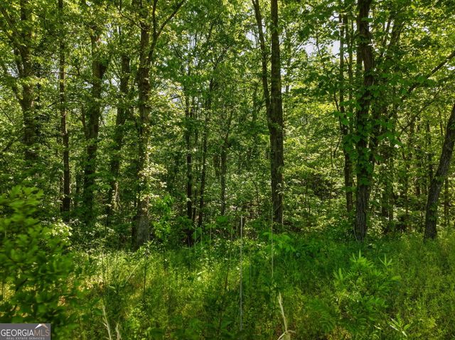 LOT 5 Summit Drive, Dahlonega, GA 30533