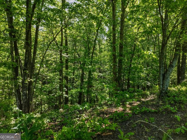 LOT 5 Summit Drive, Dahlonega, GA 30533