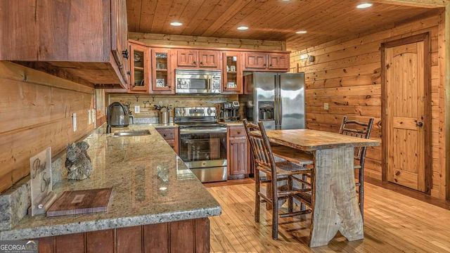 155 Shayla Drive, Blue Ridge, GA 30513