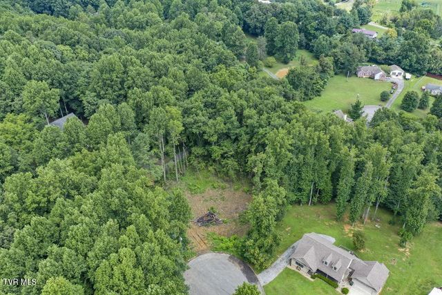 310 Mitchell Court, Jonesborough, TN 37659