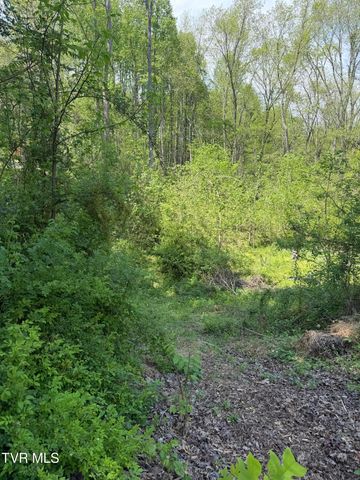 310 Mitchell Court, Jonesborough, TN 37659