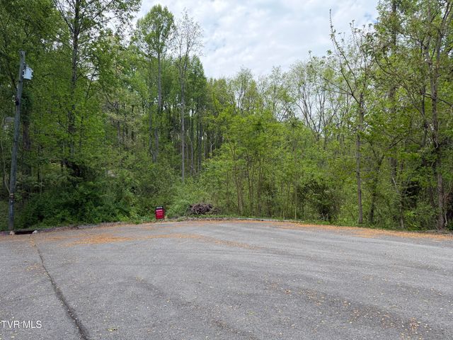 310 Mitchell Court, Jonesborough, TN 37659