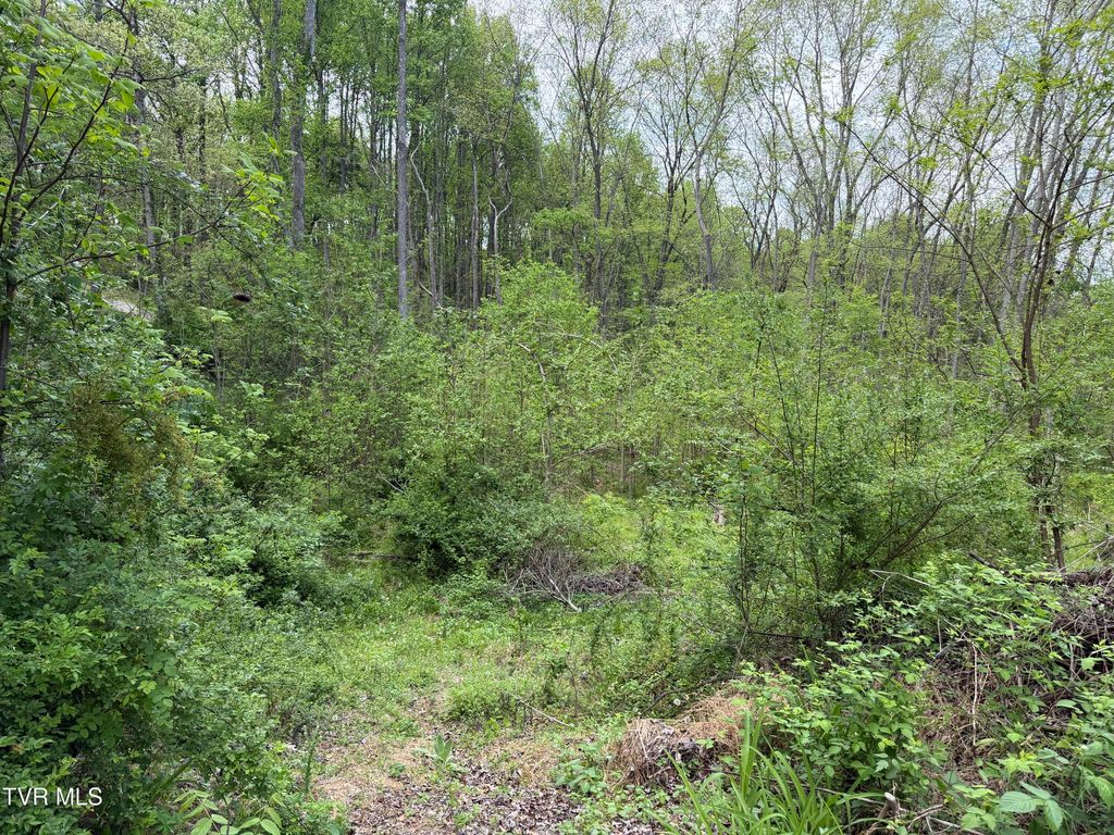 310 Mitchell Court, Jonesborough, TN 37659