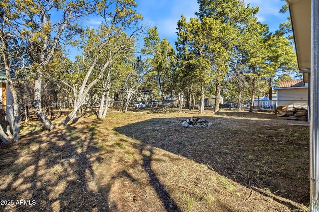 2060 WILDERNESS Drive, Overgaard, AZ 85933