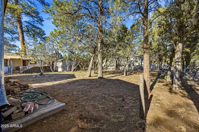 2060 WILDERNESS Drive, Overgaard, AZ 85933