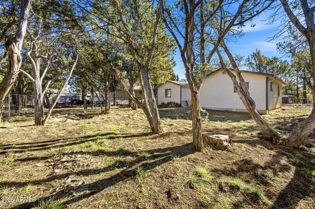 2060 WILDERNESS Drive, Overgaard, AZ 85933