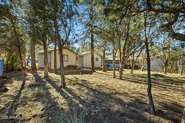 2060 WILDERNESS Drive, Overgaard, AZ 85933