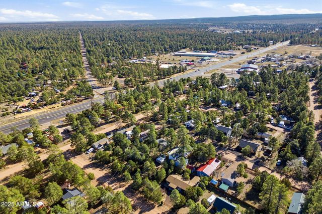 2060 WILDERNESS Drive, Overgaard, AZ 85933