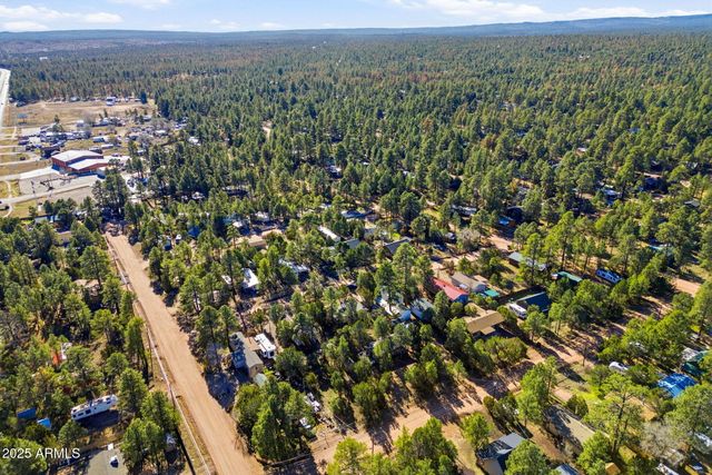 2060 WILDERNESS Drive, Overgaard, AZ 85933