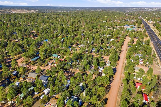 2060 WILDERNESS Drive, Overgaard, AZ 85933