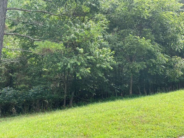 Lot 1 Pinehurst, Blairsville, GA 30512