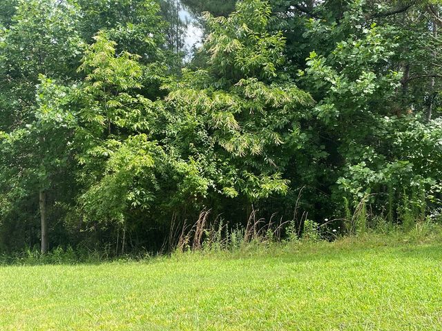 Lot 1 Pinehurst, Blairsville, GA 30512
