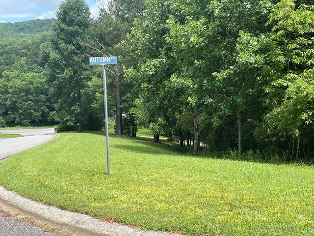 Lot 1 Pinehurst, Blairsville, GA 30512