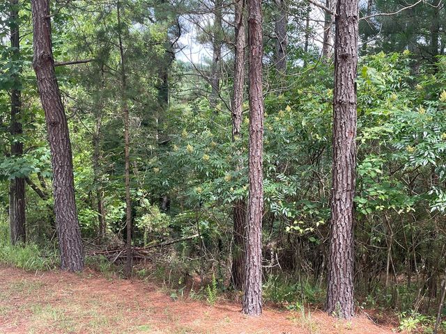 Lot 1 Pinehurst, Blairsville, GA 30512