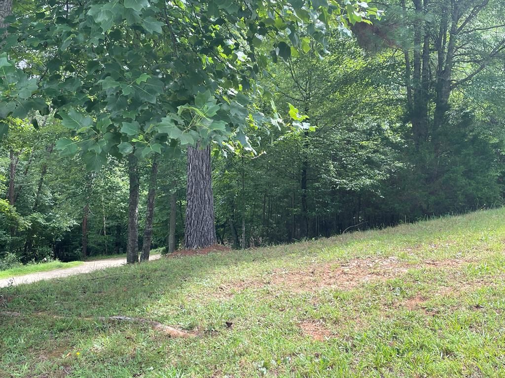 Lot 1 Pinehurst, Blairsville, GA 30512