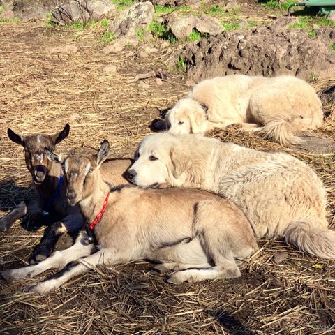 5870 Silverado Trl, Napa, CA 94558