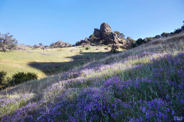 5870 Silverado Trl, Napa, CA 94558