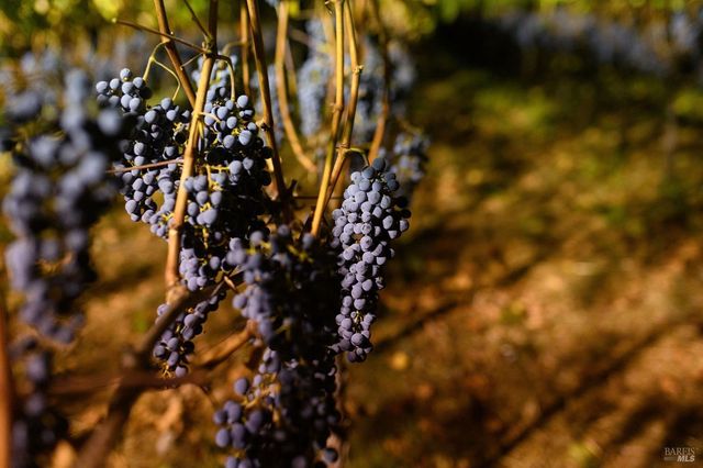 5870 Silverado Trl, Napa, CA 94558