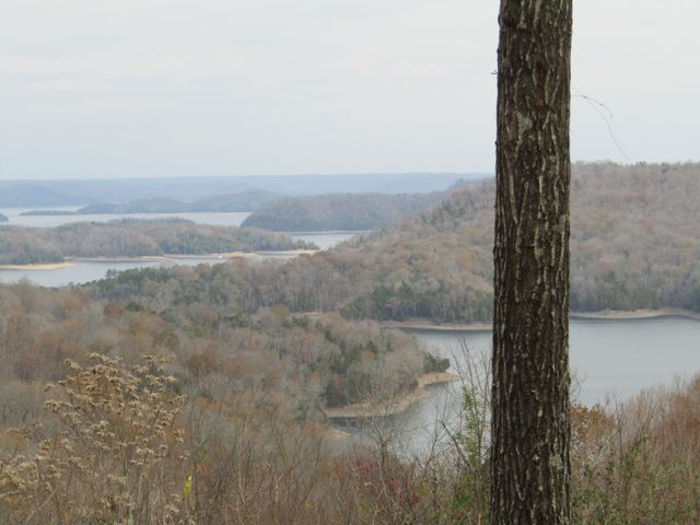 0 Rock Fish Rd, E, Hilham, TN 38568