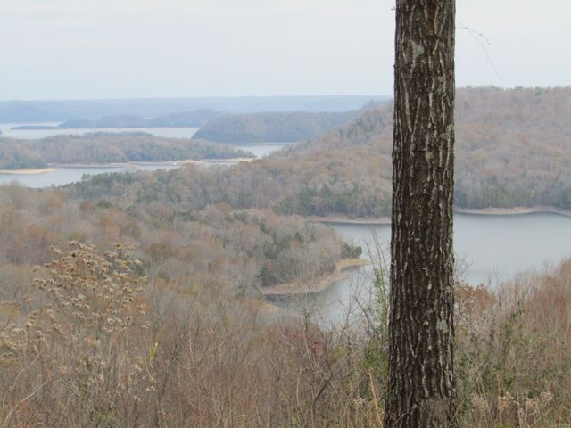 0 Rock Fish Rd, E, Hilham, TN 38568