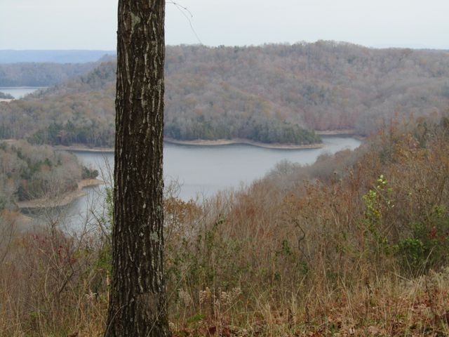 0 Rock Fish Rd, E, Hilham, TN 38568