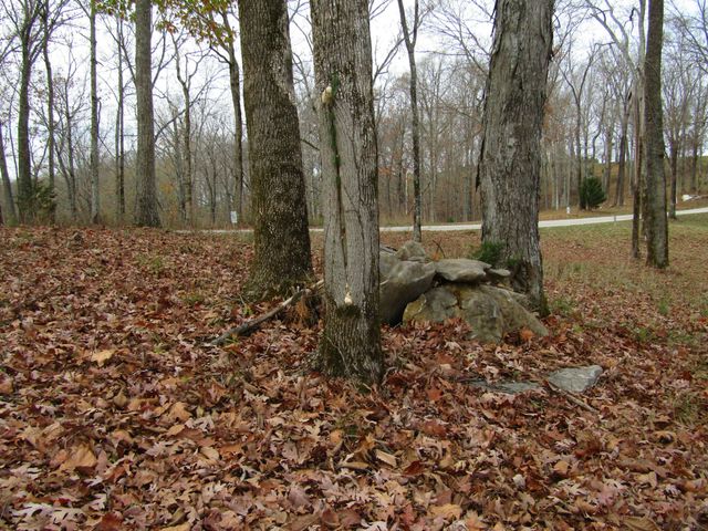 0 Rock Fish Rd, E, Hilham, TN 38568