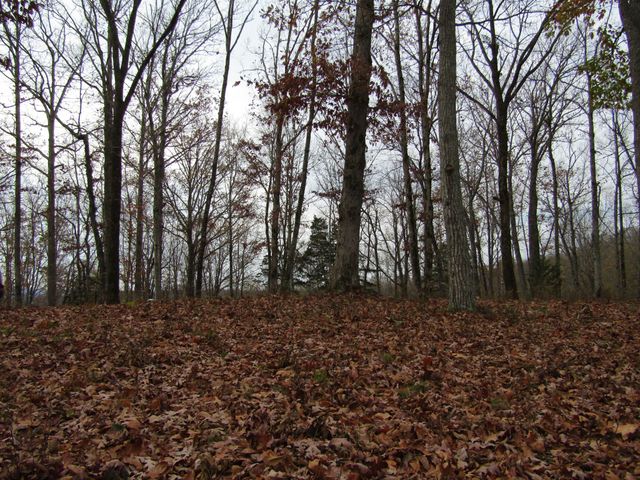 0 Rock Fish Rd, E, Hilham, TN 38568