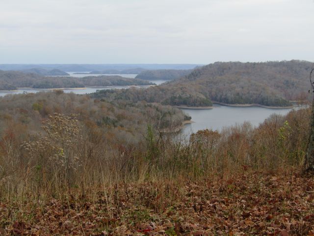 0 Rock Fish Rd, E, Hilham, TN 38568