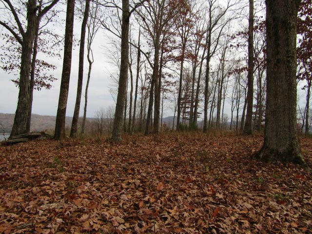 0 Rock Fish Rd, E, Hilham, TN 38568