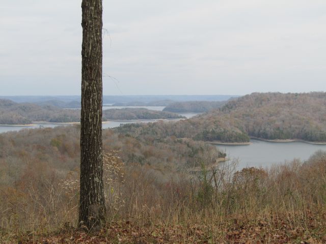 0 Rock Fish Rd, E, Hilham, TN 38568