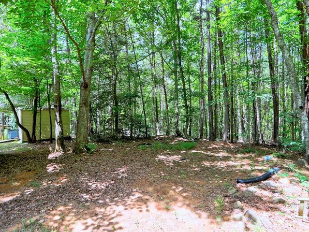 260 Yellow Creek Drive, Ball Ground, GA 30107