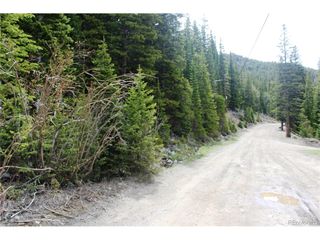 0 Mine Rd, Idaho Springs, CO 80461
