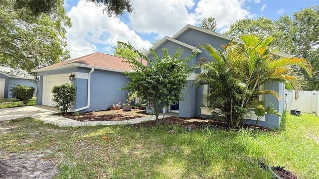 28818 MIDNIGHT STAR LOOP, Wesley Chapel, FL 33543