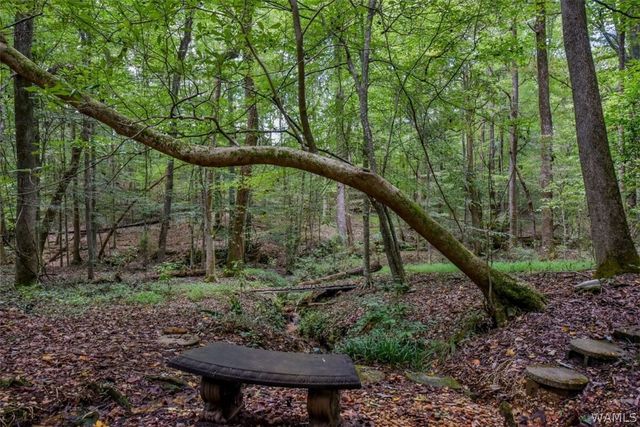 11075 CROCKER, Tuscaloosa, AL 35405