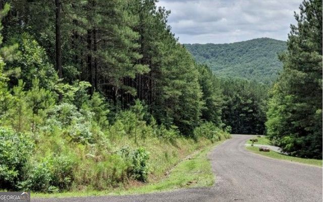 LOT 7 Ridge Top Drive 7, Ellijay, GA 30536