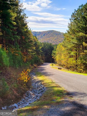 LOT 7 Ridge Top Drive 7, Ellijay, GA 30536