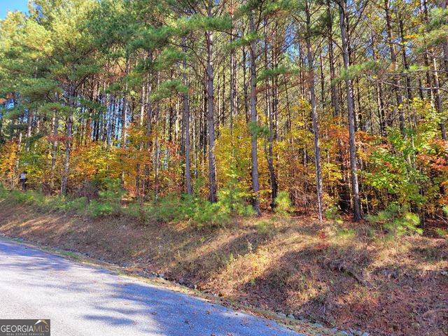 LOT 7 Ridge Top Drive 7, Ellijay, GA 30536