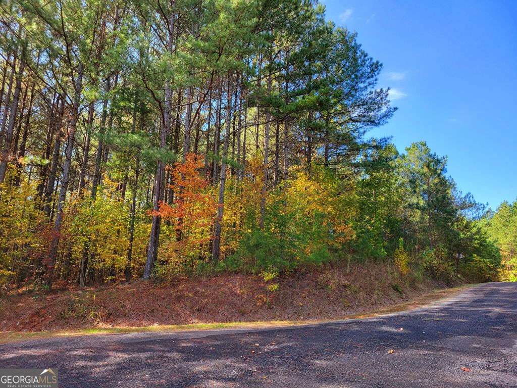 LOT 7 Ridge Top Drive 7, Ellijay, GA 30536
