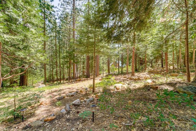 41080 Putt Rd, Alta, CA 95701