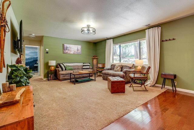 41080 Putt Rd, Alta, CA 95701